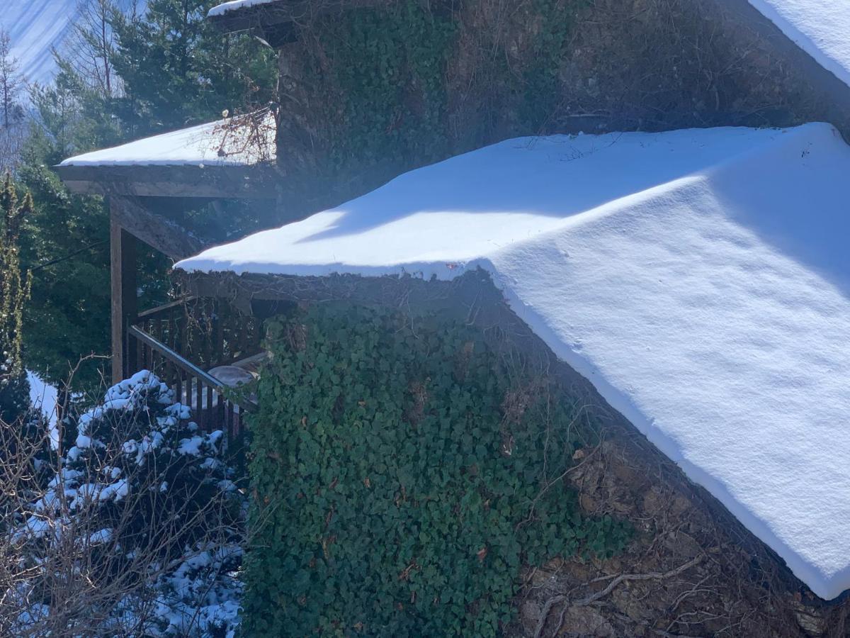 Casa Rural Pirineu Neva Eksteriør billede